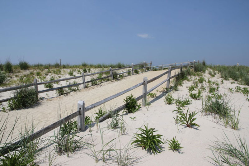 Cape May County officials fear 2021 another lost year for Canadian tourists